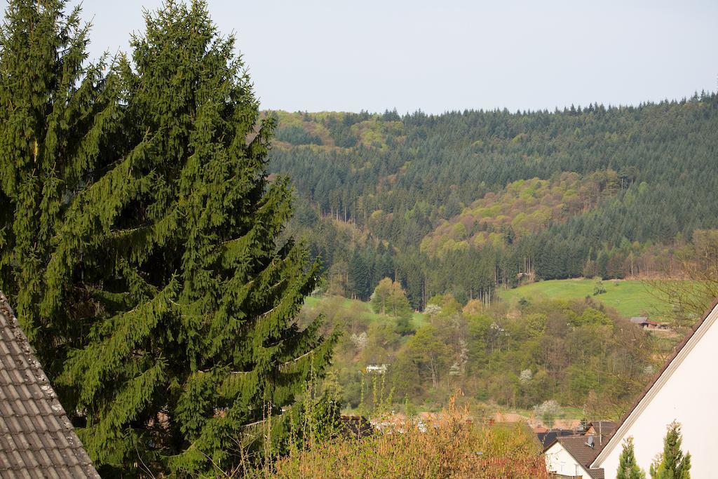 Schoene Aussicht Seelbach (Baden-Wurttemberg) Quarto foto